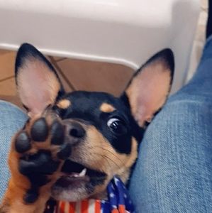 Meet your Posher, Aubrie